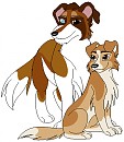 SD and Bunny