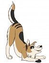 Chitto