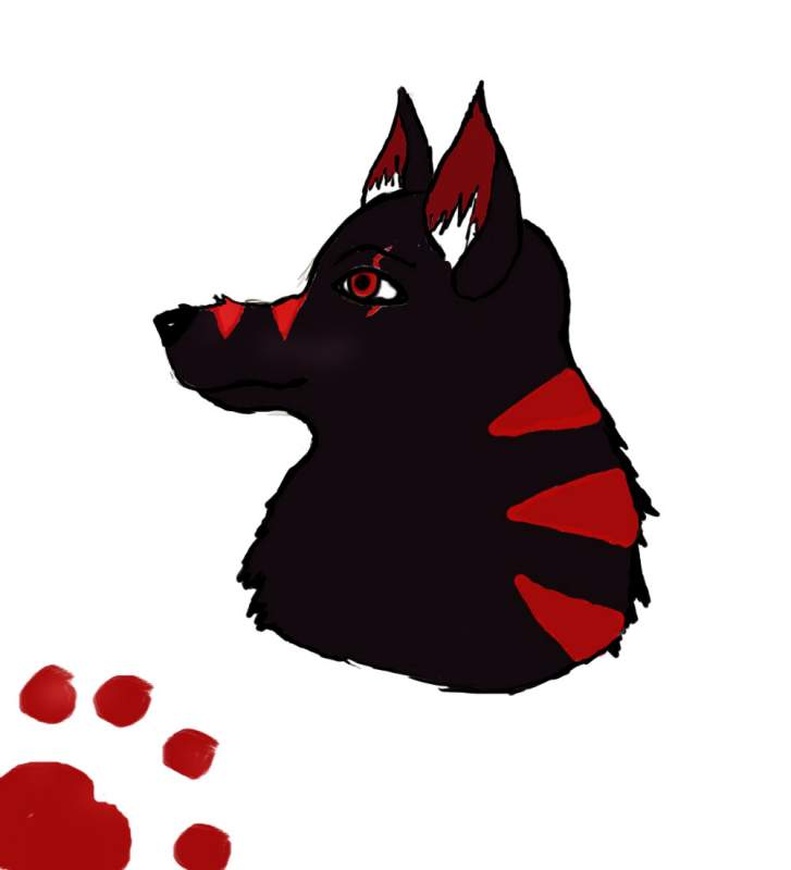 deamen wolf