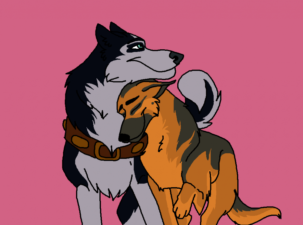 The lovely couple