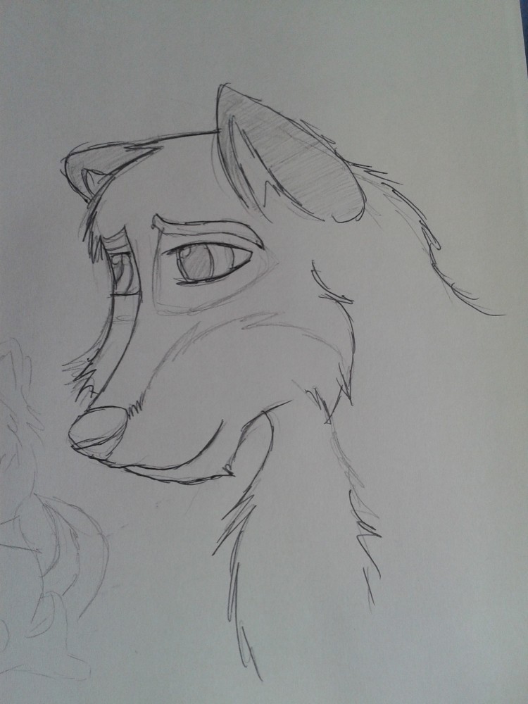 Balto Stetch