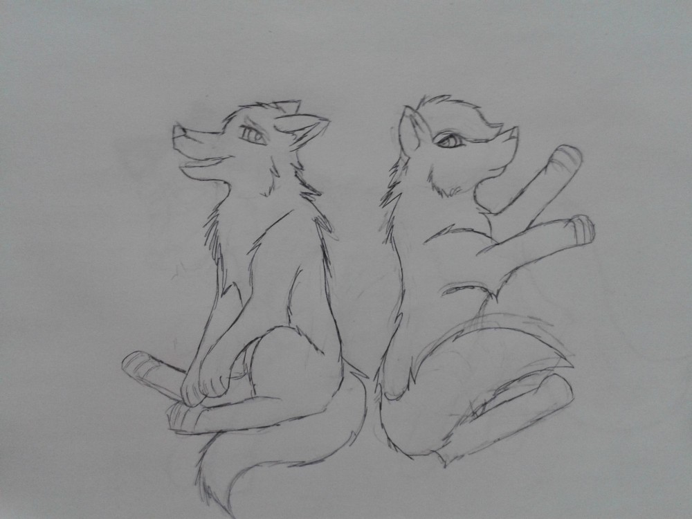 Just a sketch