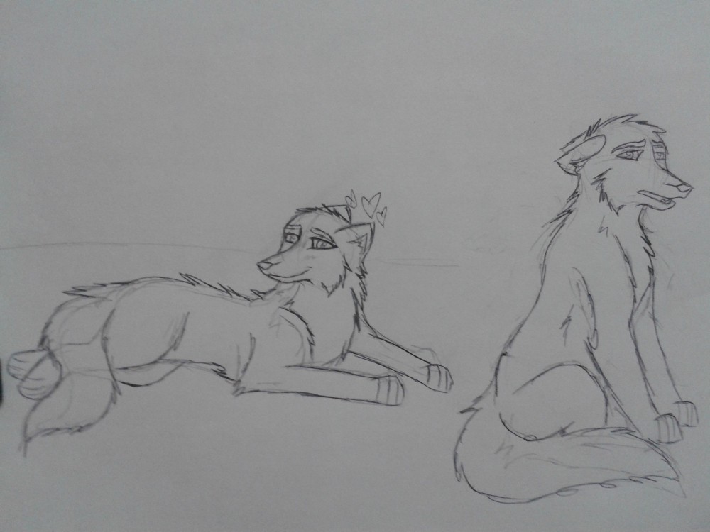 In Progress
