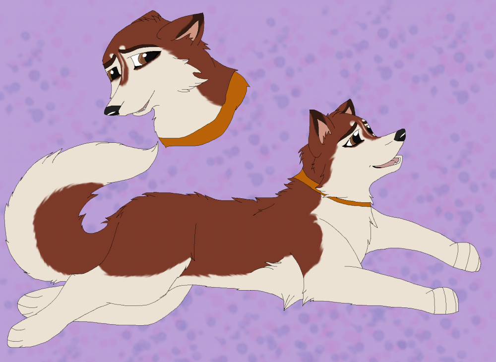 Jenna Redesign