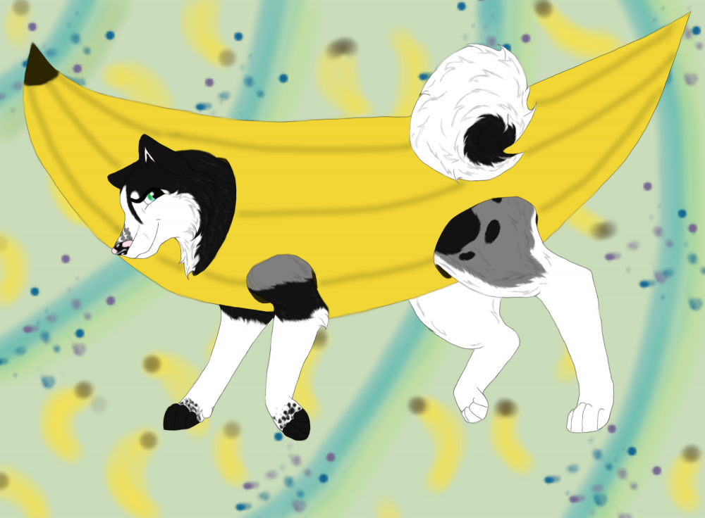 Byron c: