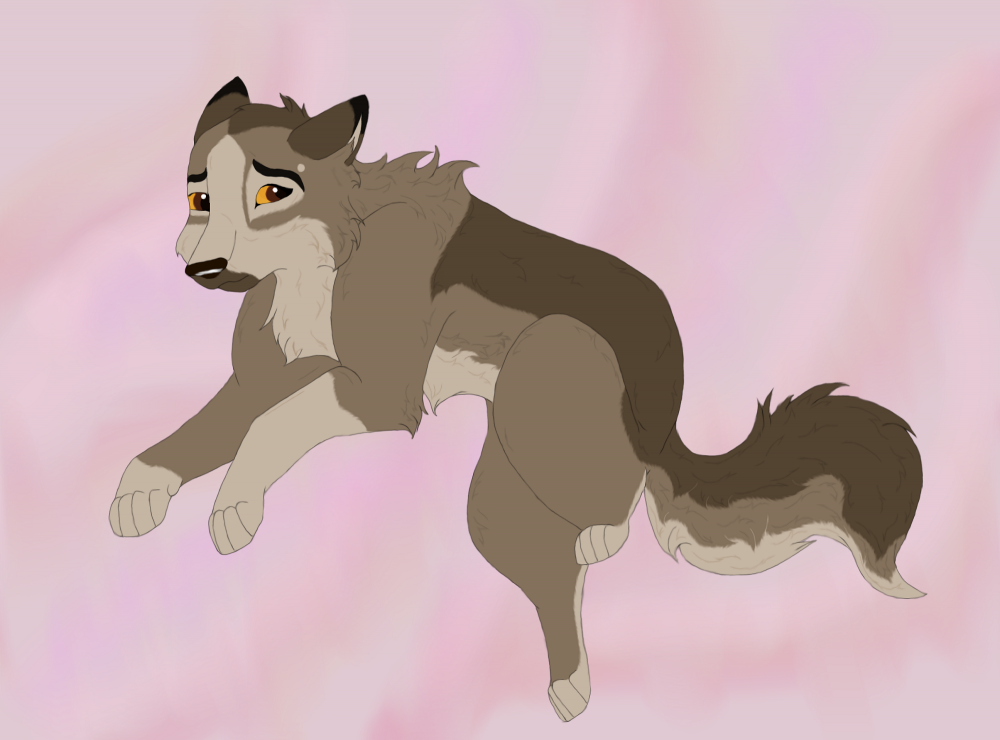 Dakota c: