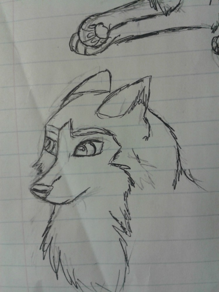 Jenna Sketch