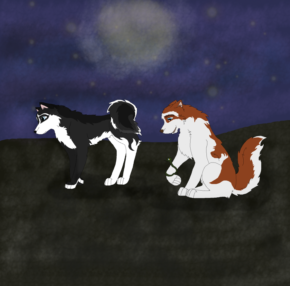 Midnight Stroll 