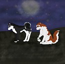 Midnight Stroll 