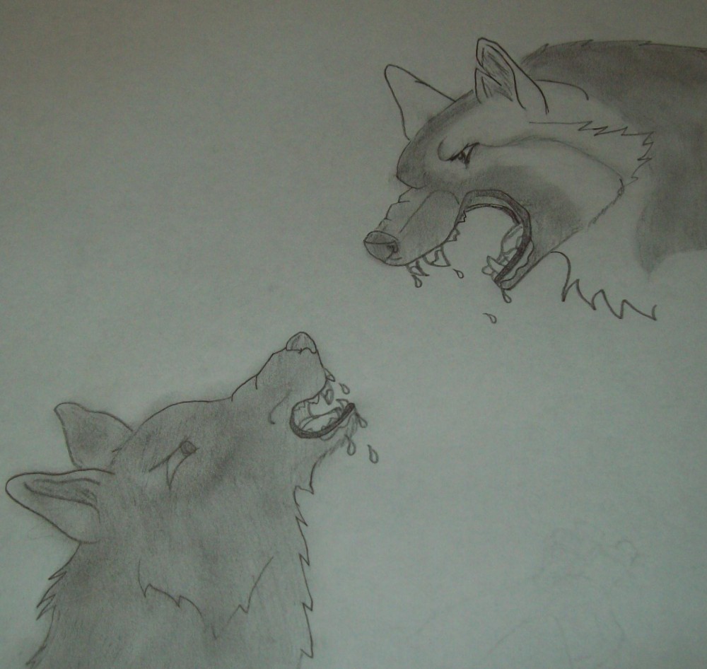 Jay and his bestfriend Ikko fighting