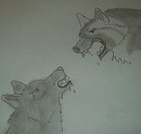 Jay and his bestfriend Ikko fighting