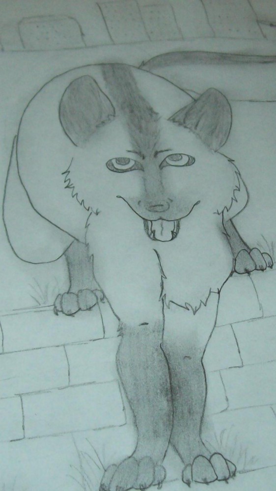 Back on Balto Source! :D