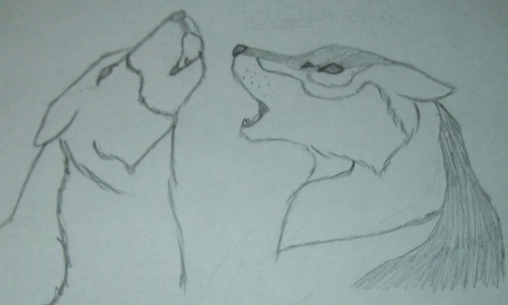 Request