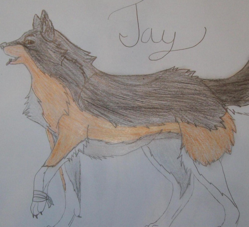 Jay's design