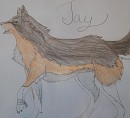 Jay's design