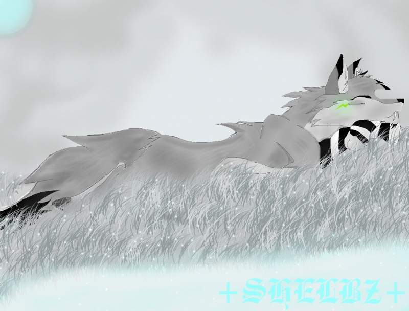 Sleepy Blade^^