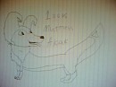 100% Muttness