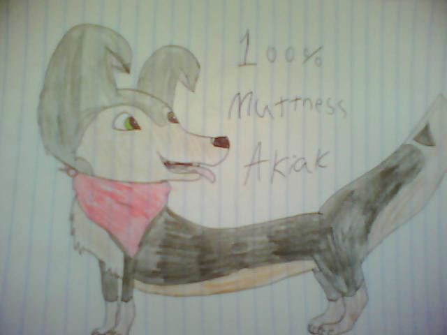 100% Muttness (colored)