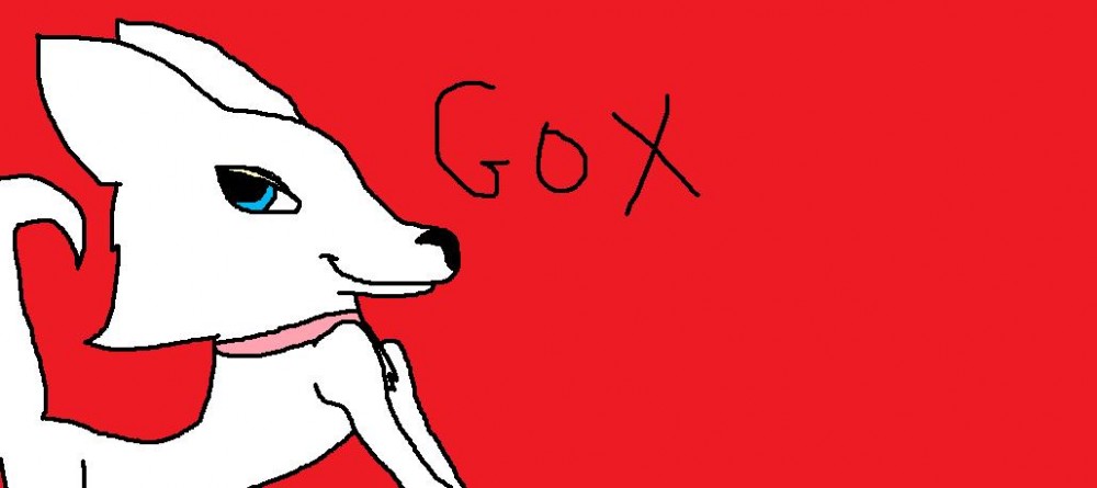 Another pic of Gox