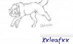 xxleafxx