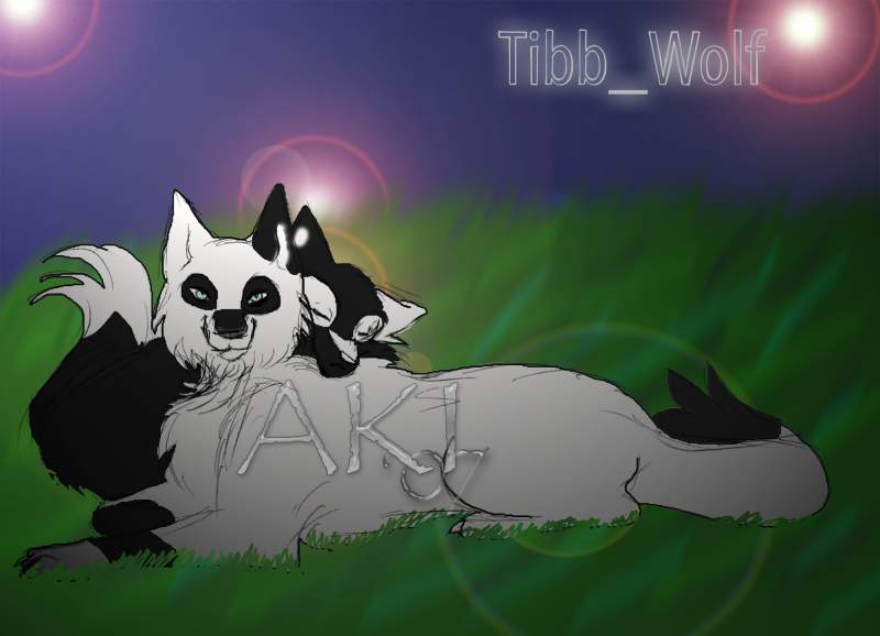 Tibb_Wolf's request