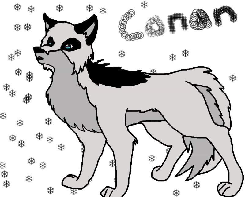 Conan