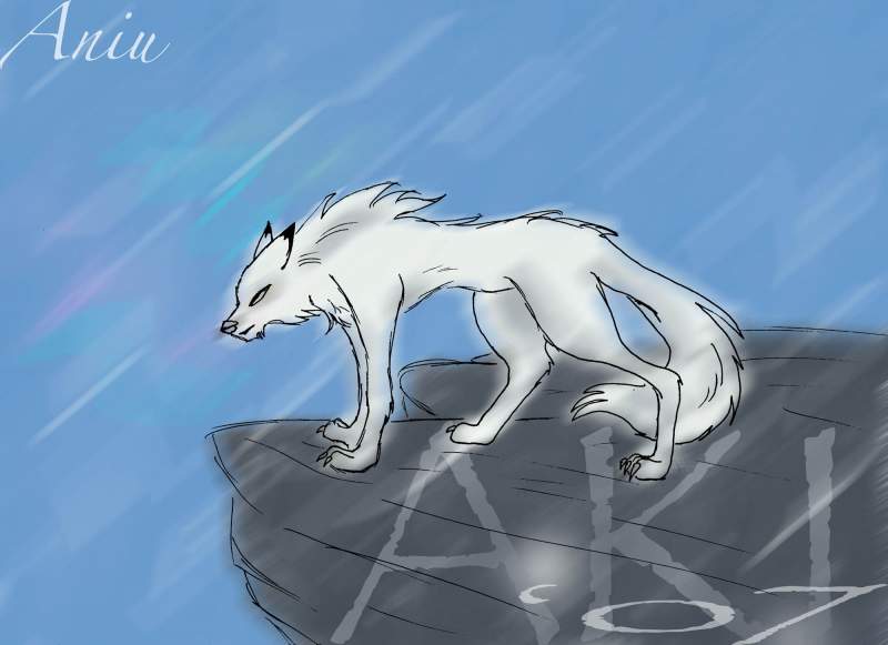 Aniu--Snowstorm
