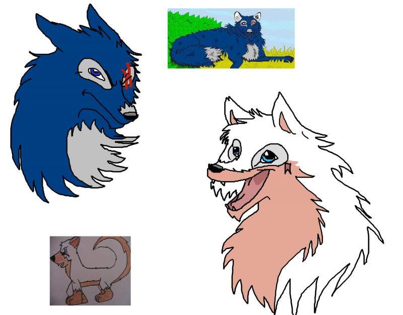 More requests done...