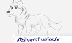 CommonDog