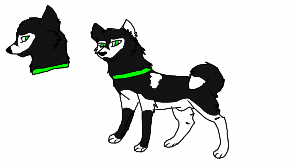 Harry - soon character