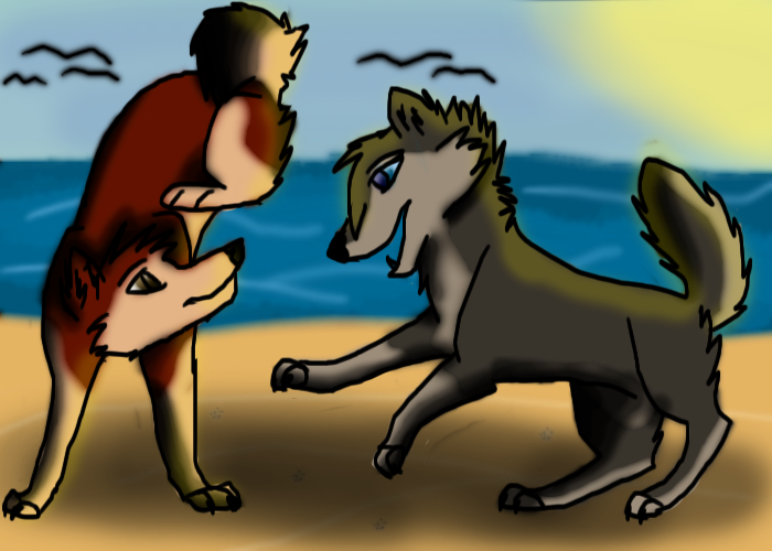 Playing at the beach