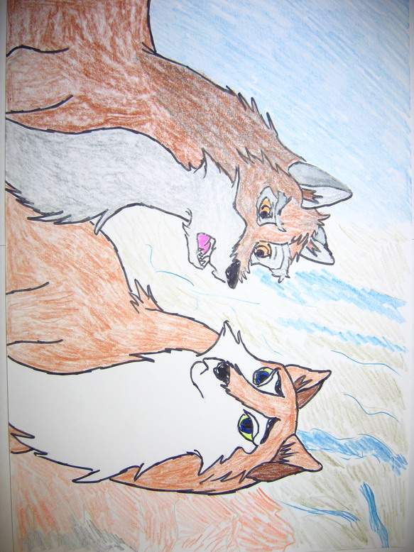 Balto and Aleu