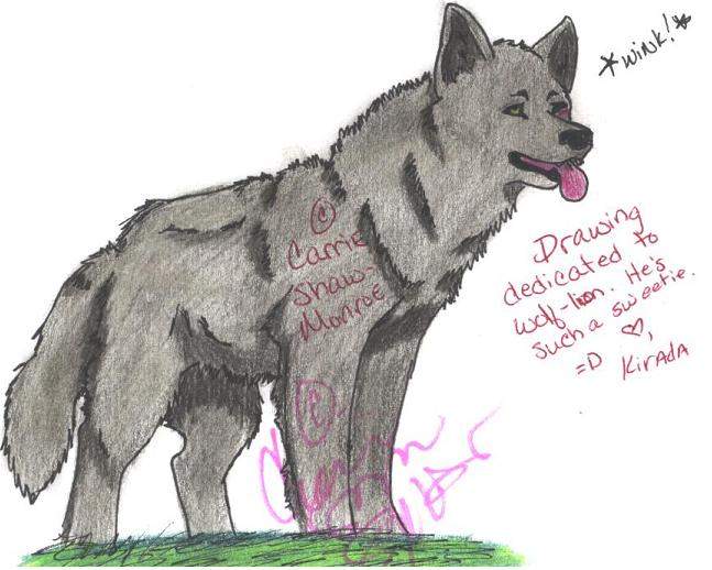 DEDICATION: wolf-lion