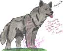 DEDICATION: wolf-lion