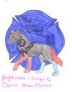 Nightmare-- 9/11/01