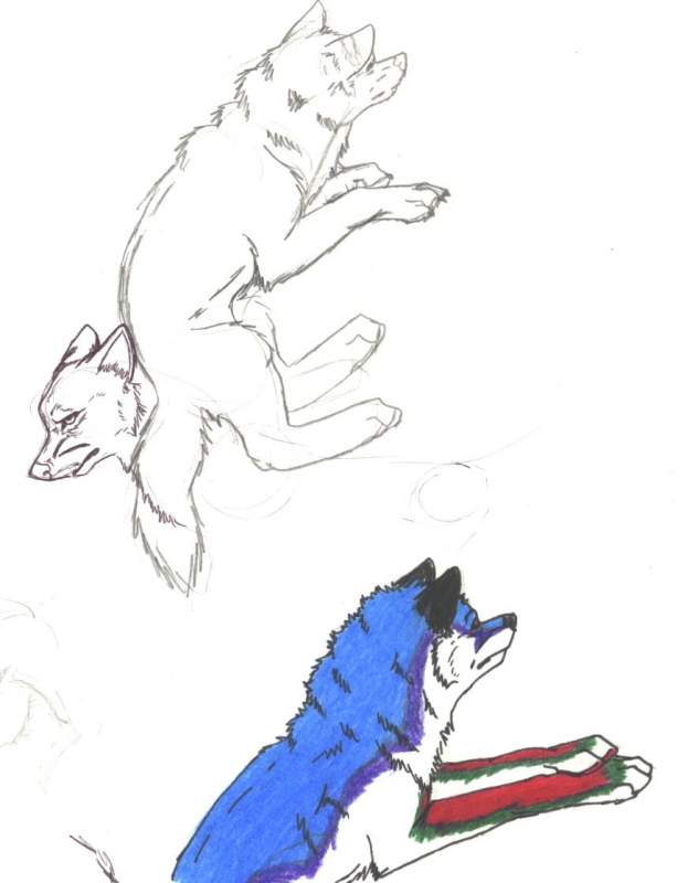Prospective practice