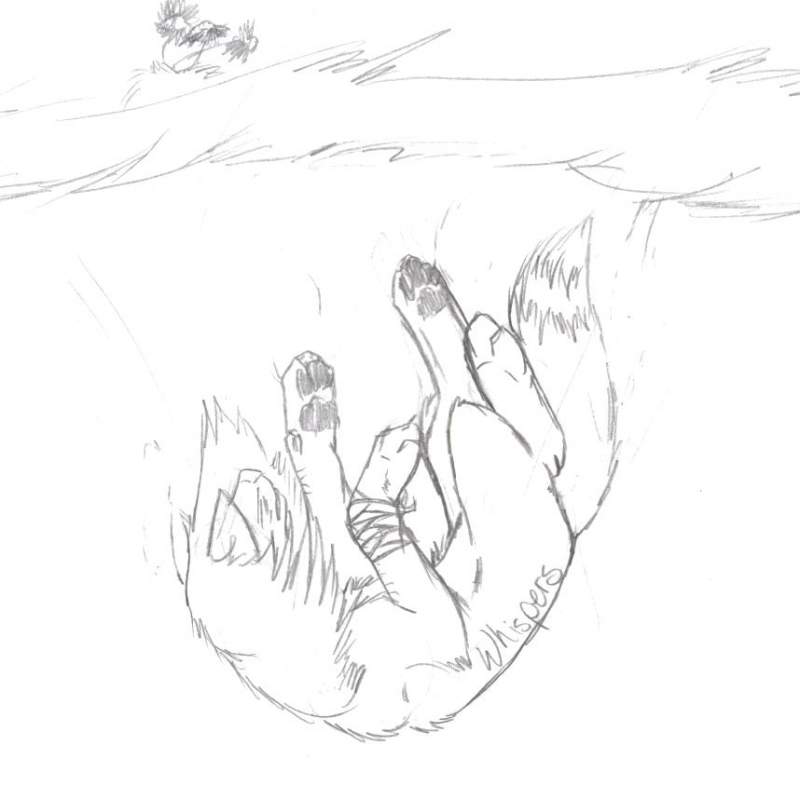 Whispers' Imaginary