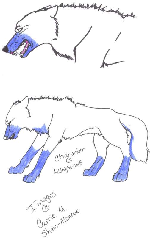 For Midnightwolf