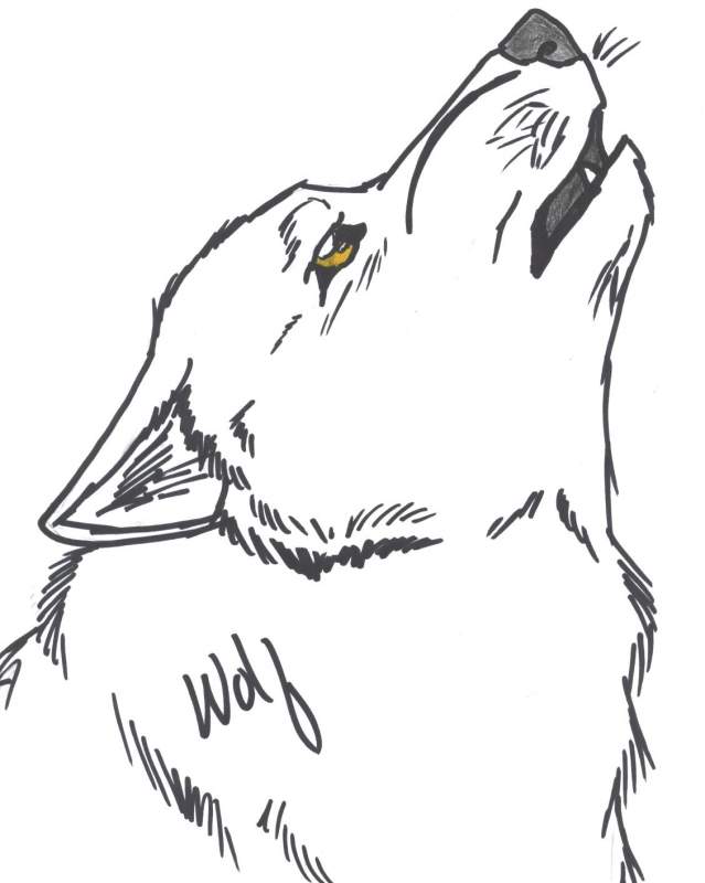 Random Wolf