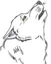 Random Wolf