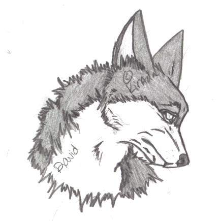 David doodle