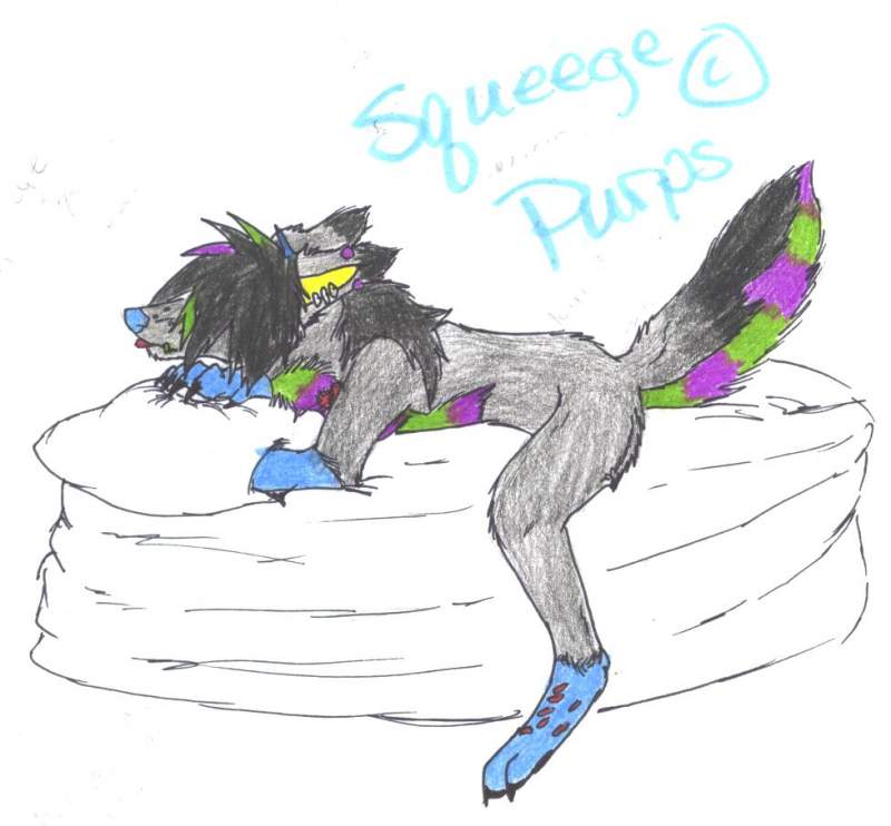 Squeege!!1!