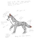 Khaos -ref-