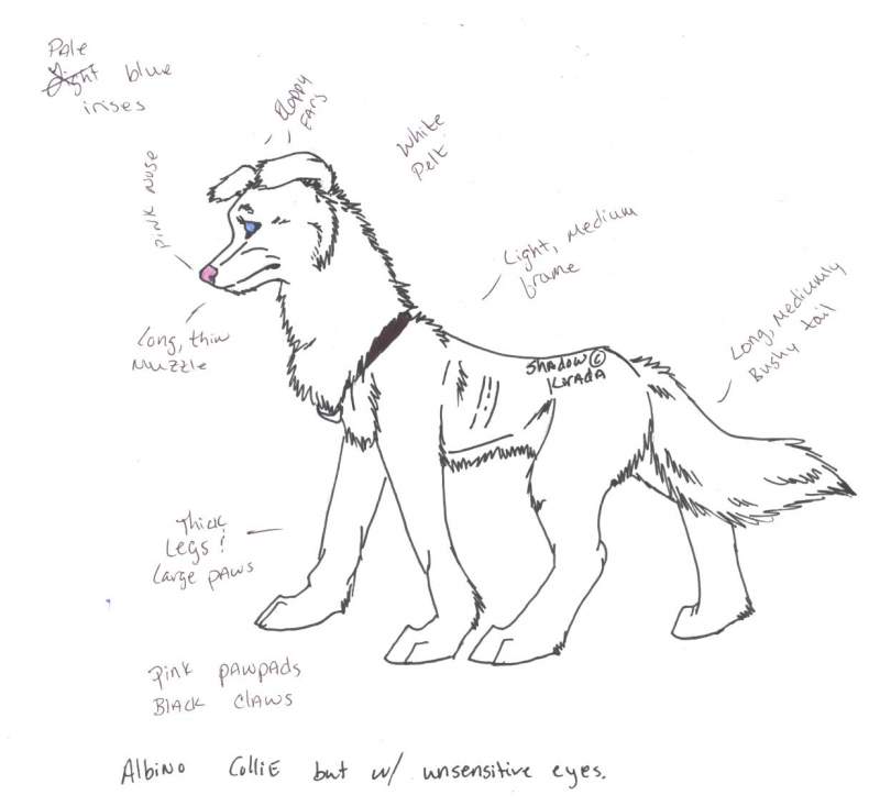 Shadow -ref-