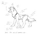Shadow -ref-