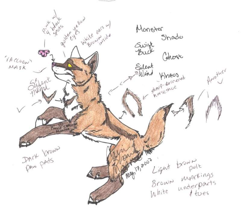 Silent Wind -ref-