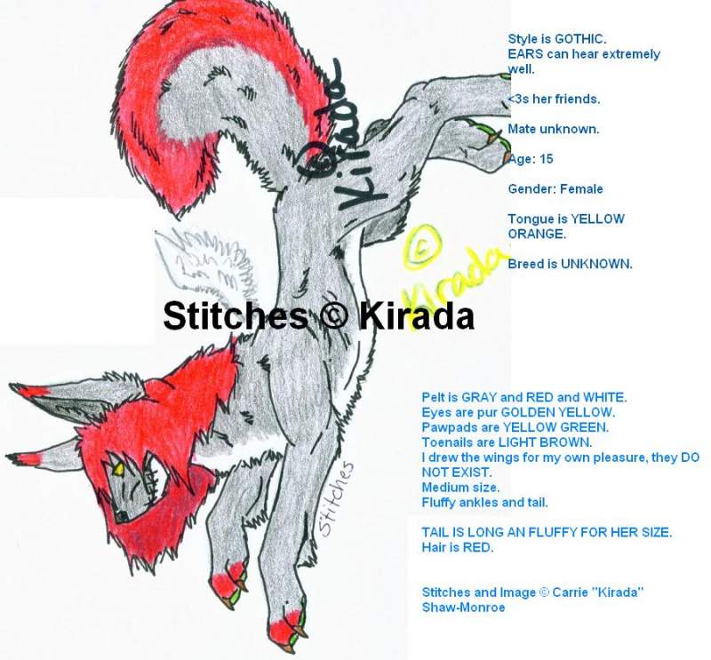 Stitches *REFERENCE*