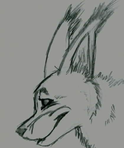 Doodle OMG
