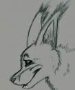 Doodle OMG