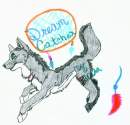 Dream Catcher